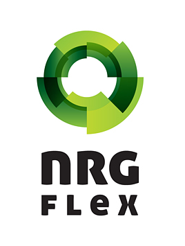 logo nrg flex